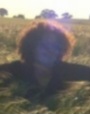 Benutzeravatar